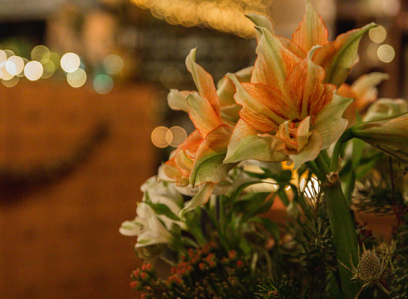 Tack för året 2025