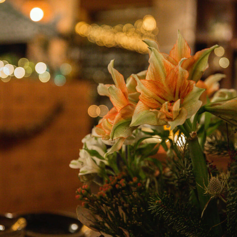 Tack för året 2025